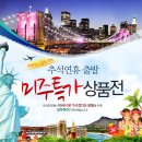 동화여행사