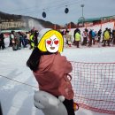 영영 당구장 | [12/4-12/5] 홍천 비발디파크 소노벨
