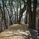 산악레포츠공원 관리사무실 이미지