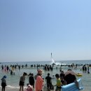 영덕브이11로 | 2025 구룡포해변축제 - 오징어 맨손잡기 후기