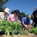 일근농장 이미지