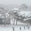 눈 (Snow) (흰 눈이 곱게 쌓이면) 이미지