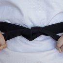 품태권도 이미지