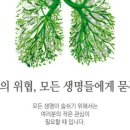 선바위 유원지