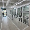 펫글타운 이미지