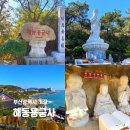 풍경-04 | 부산 여행 가볼만한 곳, 기장 해동용궁사 위치 주차 관람 꿀팁 후기