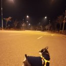 미단행복로 이미지