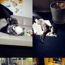 MJ 퍼스널 트레이닝 이미지