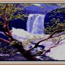 복내초교 이미지