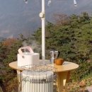 디나인84 이미지