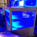 금호육천지 이미지