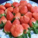 세은농장 이미지