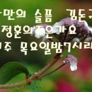 나만의 슬픔(김돈규)cover.최정훈 이미지