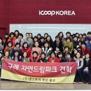 쿱스토어부산
