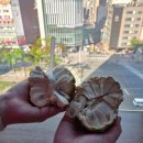 서인천농협 건지지점 앞 횡단보도 | 1월. 졸업과 대만 여행(2).