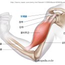VIP휘트니스센터 - 마포구 월드컵북로 30 | VIP휘트니스센터
