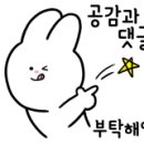 미송 코스메틱 이미지