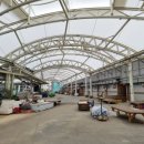 꼬솜(kkosom) 이미지