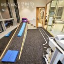 베리떼 동물병원 | 인천 송도동 동물병원 베리떼동물병원 진료시간 접근성 이용후기