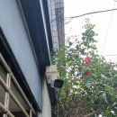 CCTV | 안산 카페 CCTV 설치 후기 – 실내 5대, 실외 1대 (4~6시간 소요)
