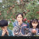 경신농장 이미지