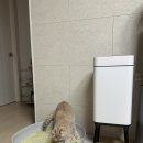 자동센서 쓰레기통 추천 반려동물 배변냄새 디룸