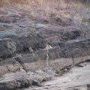 진주 유수리 백악기 화석산지 이미지