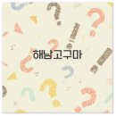 해남군 재활용품 선별시설 | 해남 고구마 가격부터 빵 칩 글램핑 순까지 깔끔 정리