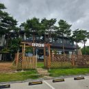 아쿠아숲속초 | 강원도 고성 아이와 가볼만한 곳 비오는 날 더 좋은 카페 아쿠아숲 속초