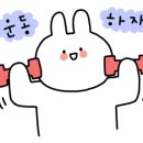 팀케이 멀티짐 이미지