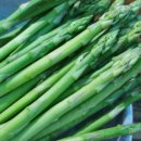 식송농장 이미지