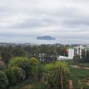 호근동-5 이미지