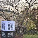 달빛명월 | 제주 협재 가성비 좋은 감성숙소 달빛명월