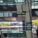 팔레드시즈 | 부산 해운대 결혼식장 'W웨딩 팔레드시즈웨딩홀' 하객 후기