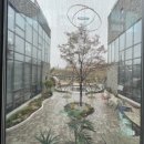 리베르테 이미지