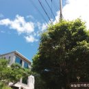 하늘향기 이미지