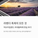 라데 | 허브아일랜드 라데봄축제 2025 솔직후기 – 라벤더 향기 가득한 봄날, 진짜 힐링되나요?