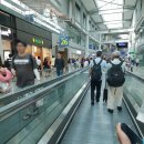 국빈 당구장 | [뉴질랜드 워홀] 길지도 않지만 짧지도 않았던 8개월간의 뉴질랜드 워홀러의 감성후기