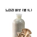 한농종묘사 이미지