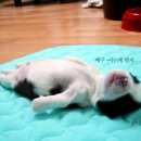 시민회관 앞, 옆 이미지