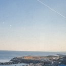 205 대게직판장