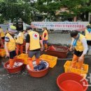 전북세탁 이미지