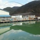 동화낚시터 이미지