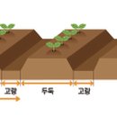 남촌동 주말농장