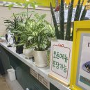 한솥도시락(일산시장점) | 일산역 맛집 김밥 포장 후기 전민선 꼬마김밥&amp;우동