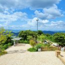 보강천 미루나무숲 이미지