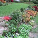 서리풀공원1-30 이미지