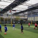 미산태권도 이미지