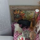 까만돌멩이 이미지