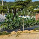 역마루청국장 | 부산 기장 장안 신세계아울렛 근처 줄서먹는 비빔밥 맛집 역마루청국장